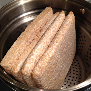 Steamed Tempeh